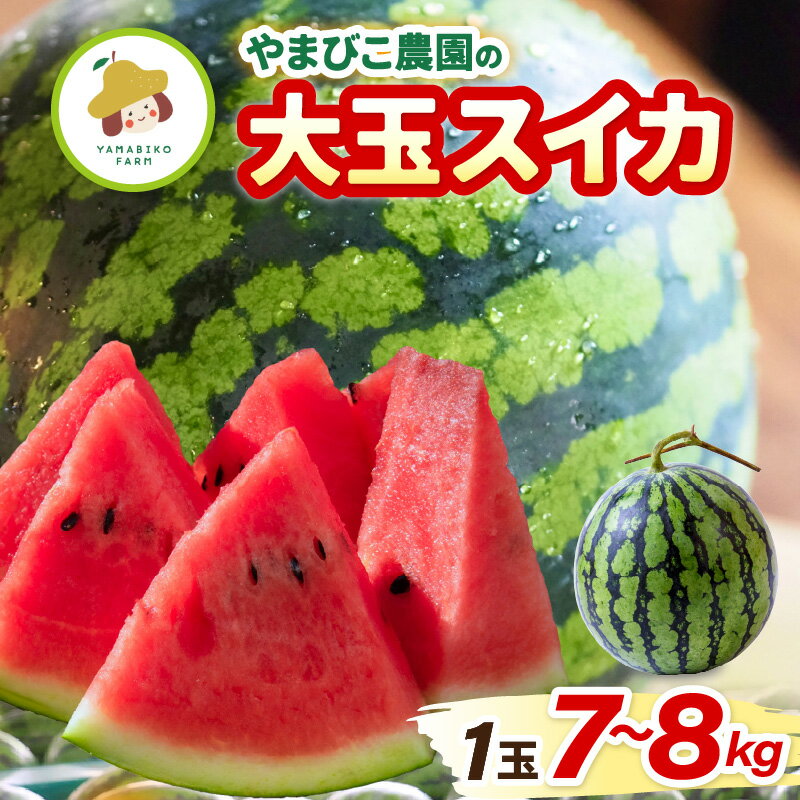 【ふるさと納税】【先行予約】やまびこ農園の大玉スイカ 1玉 (7~8kg) 【2026年6月中旬以降順次発送予定】 【スイカ 西瓜 すいか デザート 果物 くだもの 夏 ジューシー 高糖度 お取り寄せ グルメ 産地直送】 サムネイル2