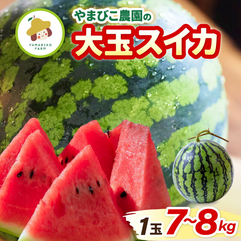 【先行予約】やまびこ農園の大玉スイカ 1玉 (7~8kg) 【2026年6月中旬以降順次発送予定】 【スイカ 西瓜 すいか デザート 果物 くだもの 夏 ジューシー 高糖度 お取り寄せ グルメ 産地直送】