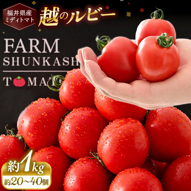 【ふるさと納税】【先行予約】 福井県坂井市産 ミディトマト 越のルビー 1kg (約20～40個) 農家直送 【2026年10月中旬以降順次発送予定】 とまと トマト ミディトマト ブランド品種 野菜 生野菜 美容 健康 新鮮 産地直送 国産 - 画像2