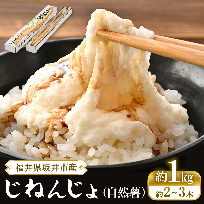 【ふるさと納税】【先行予約】 自然薯 1kg (2～3本) 福井県坂井市産 農家直送 【2026年12月中旬以降順次発送予定】 じねんじょ とろろ とろろご飯 山芋 やまいも 野菜 やさい 健康 滋養強壮 厳選 国産 産地直送 - 画像2