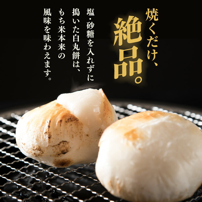 【ふるさと納税】 たんちょう杵つき「白丸餅」5個 × 4パック 計20個 特別栽培もち米使用！ 〜幻のもち米100％使用〜 【つきたて モチモチ 添加物・保存料不使用 お雑煮 ぜんざい おやつにも 餅 もち おもち お餅 丸もち】 - 画像3