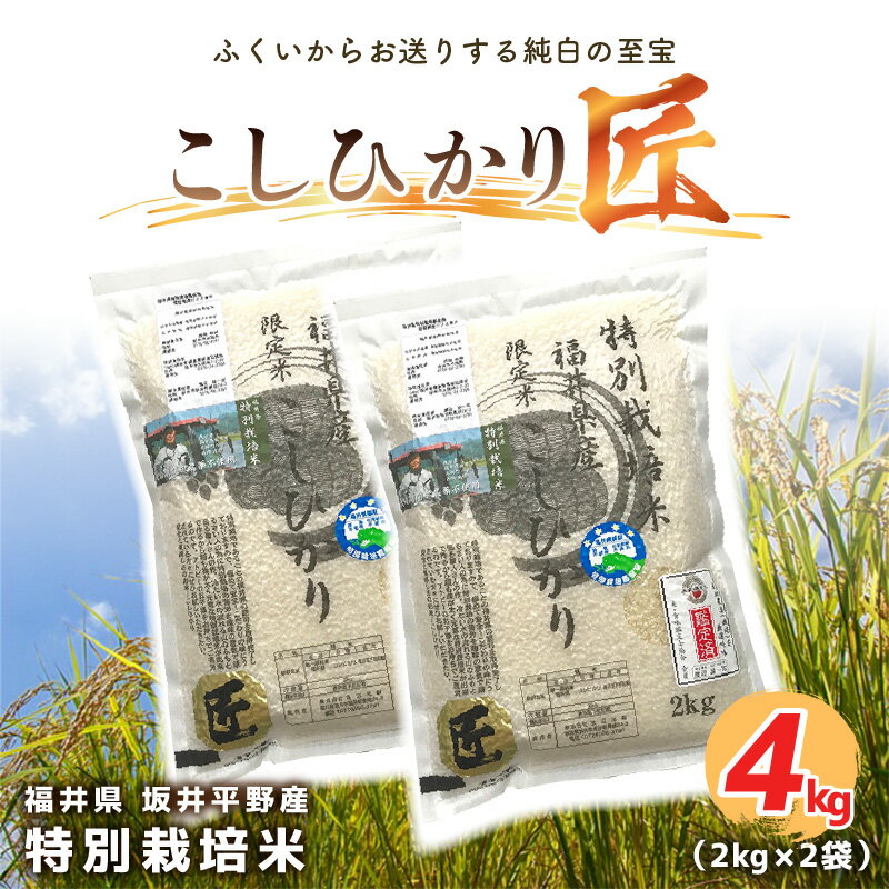 【ふるさと納税】【令和7年産】特別栽培米 コシヒカリ匠 4kg(2kg×2袋) 栽培期間中農薬不使用 / コシヒカリ こしひかり 白米 玄米 お米 送料無料 - 画像2