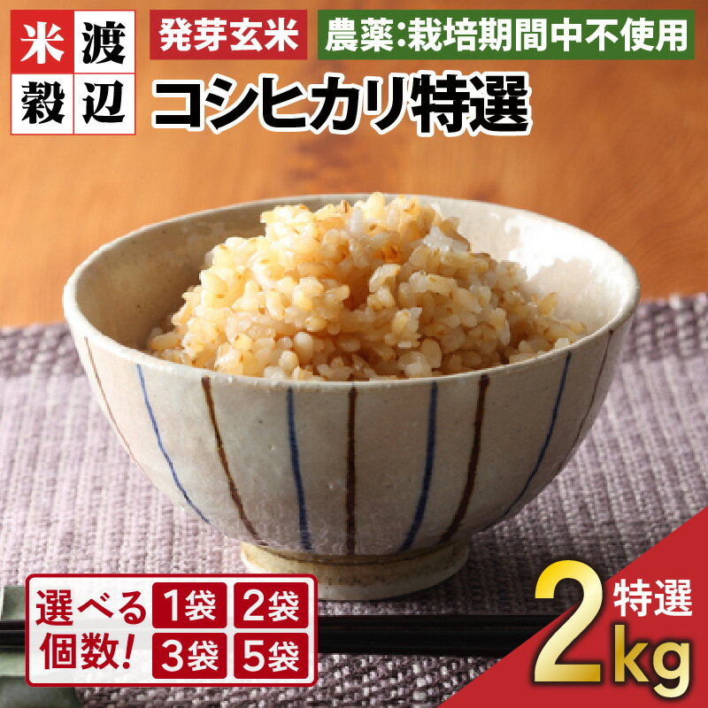 【令和7年産】【発芽玄米】 コシヒカリ「特選」 特別栽培米使用 1袋 / 2袋 / 3袋 / 5袋 (2kg〜10kg) 【選べる個数】【無洗米 米 こしひかり 玄米 ギャバ GABA 特別栽培 食物繊維 栄養 真空パック ごはん ご飯 おいしい ふるさと納税米】