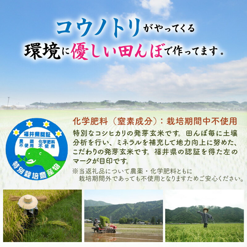 【ふるさと納税】＜寄附額見直しました！＞【令和7年産】【発芽玄米】 コシヒカリ「特選」 特別栽培米使用 1袋 / 2袋 / 3袋 / 5袋 (3kg〜15kg) 【選べる個数 / 発送回数】 2ヶ月 3ヶ月 定期便 無洗米 米 こしひかり 玄米 ギャバ GABA 食物繊維 栄養 真空パック ごはん ご飯 - 画像3