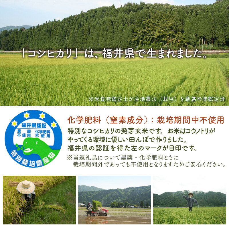【ふるさと納税】＜寄附額見直しました！＞【令和7年産】【発芽玄米】 コシヒカリ「特選」 特別栽培米使用 1袋 / 2袋 / 3袋 / 5袋 (5kg〜25kg) 【選べる個数 / 発送回数】 2ヶ月 3ヶ月 定期便 無洗米 米 こしひかり 玄米 ギャバ GABA 食物繊維 栄養 真空パック ごはん ご飯 - 画像3