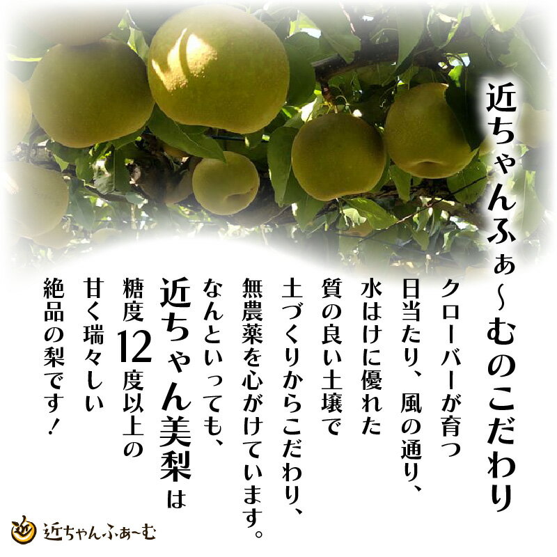 【ふるさと納税】女子力高めの梨農家姉妹がおくる！ ゴロゴロ果肉たっぷり美梨ジャム 4個セット サムネイル3