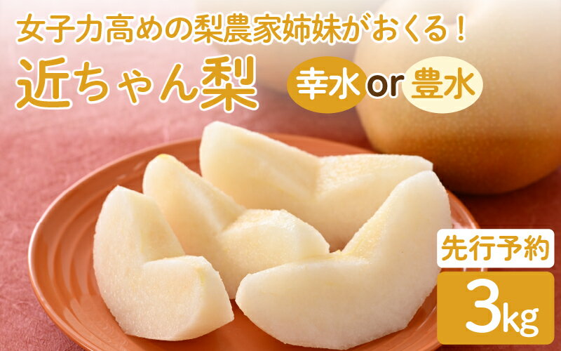 【ふるさと納税】【先行予約】女子力高めの梨農家姉妹がおくる！ 近ちゃん梨 3kg（3L～5L） 6～8玉入り (幸水梨or豊水梨) 【2026年8月中旬～9月下旬発送予定】【梨 なし フルーツ 甘い みずみずしい 果実 果物 新鮮 旬の果物】 サムネイル2
