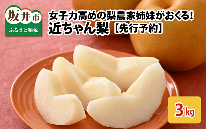 【先行予約】女子力高めの梨農家姉妹がおくる！ 近ちゃん梨 3kg（3L～5L） 6～8玉入り (幸水梨or豊水梨) 【2026年8月中旬～9月下旬発送予定】【梨 なし フルーツ 甘い みずみずしい 果実 果物 新鮮 旬の果物】