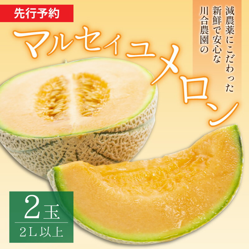 【ふるさと納税】【先行予約】マルセイユメロン 2玉 (2L以上のサイズ) 糖度15度以上 減農薬にこだわった新鮮で安心な川合農園のメロン 【2026年6月中旬以降発送予定】【メロン めろん フルーツ 旬 デザート 果物 くだもの 果実 赤肉 糖度 甘い 国産】 サムネイル2
