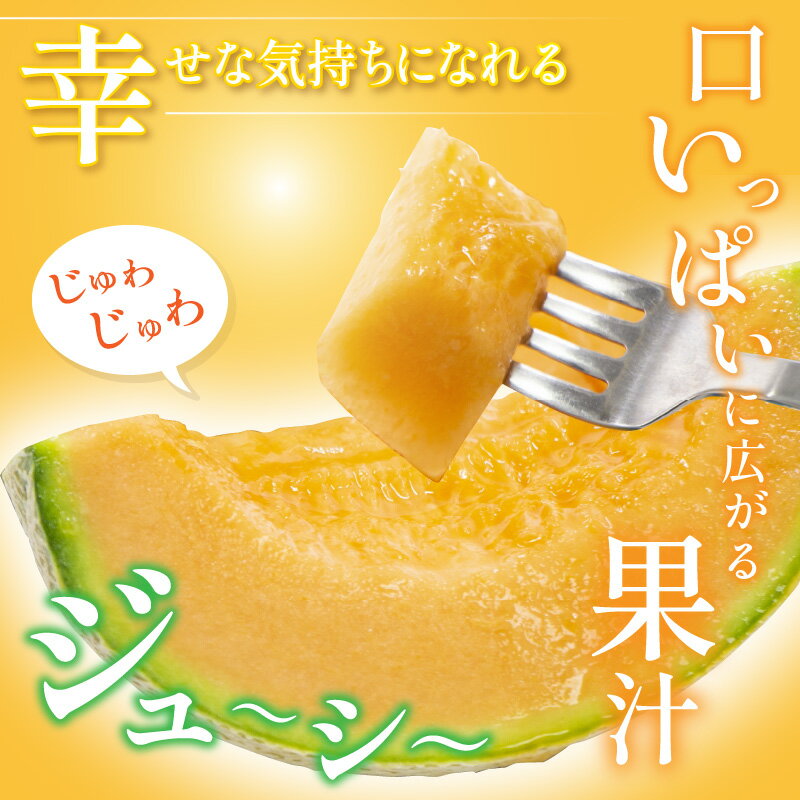 【ふるさと納税】【先行予約】マルセイユメロン 2玉 (2L以上のサイズ) 糖度15度以上 減農薬にこだわった新鮮で安心な川合農園のメロン 【2026年6月中旬以降発送予定】【メロン めろん フルーツ 旬 デザート 果物 くだもの 果実 赤肉 糖度 甘い 国産】 サムネイル3