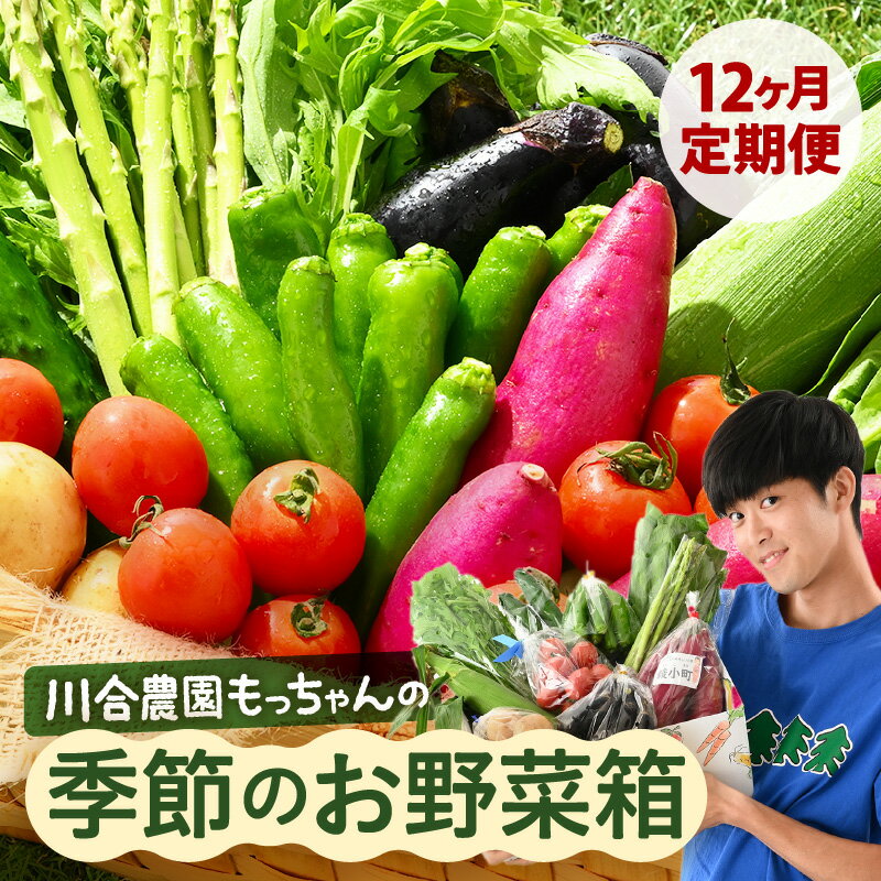 【ふるさと納税】定期便 ≪12ヶ月連続お届け≫ 川合農園もっちゃん季節のお野菜お届け箱 〜季節の野菜や果実を毎月7品種前後お届けします！〜【野菜 やさい 野菜セット 詰め合わせ おまかせ 新鮮 旬 定期便 12回 産地直送】 - 画像2