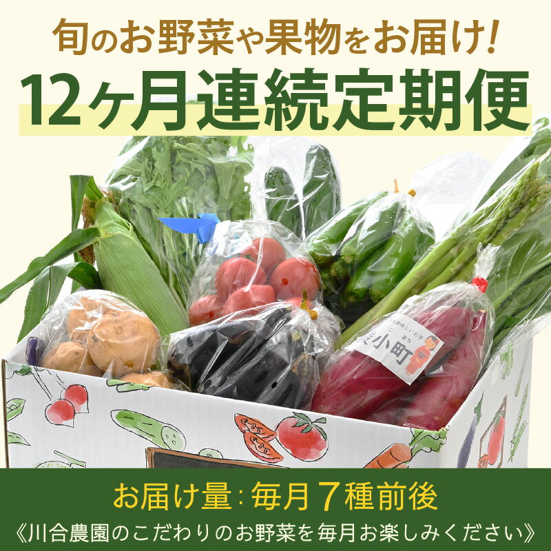 【ふるさと納税】定期便 ≪12ヶ月連続お届け≫ 川合農園もっちゃん季節のお野菜お届け箱 〜季節の野菜や果実を毎月7品種前後お届けします！〜【野菜 やさい 野菜セット 詰め合わせ おまかせ 新鮮 旬 定期便 12回 産地直送】 - 画像3