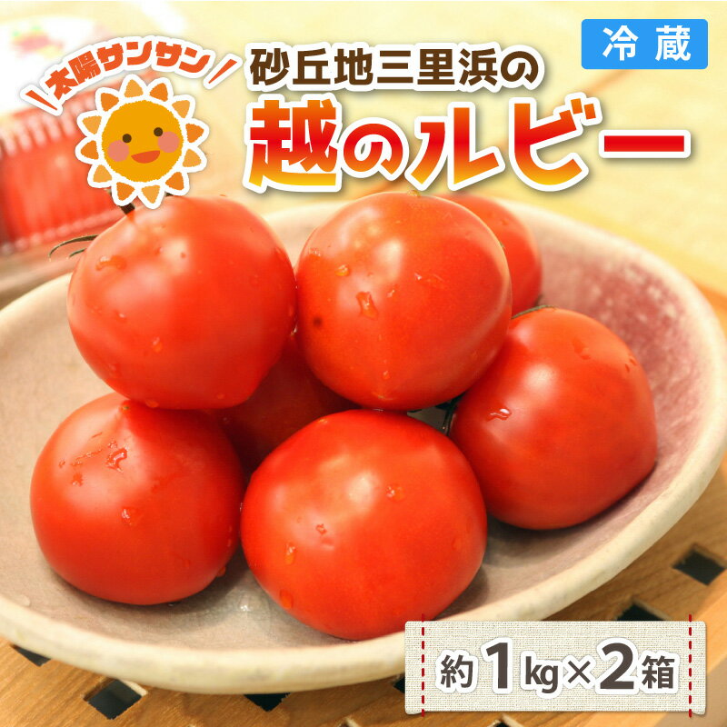 【ふるさと納税】【先行予約】太陽サンサン砂丘地三里浜の 越のルビー 約2kg 【2026年6月下旬以降順次発送予定】 - 画像2