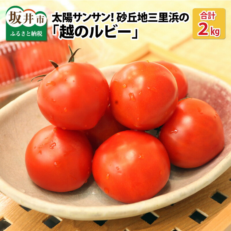 【先行予約】太陽サンサン砂丘地三里浜の 越のルビー 約2kg 【2026年6月下旬以降順次発送予定】