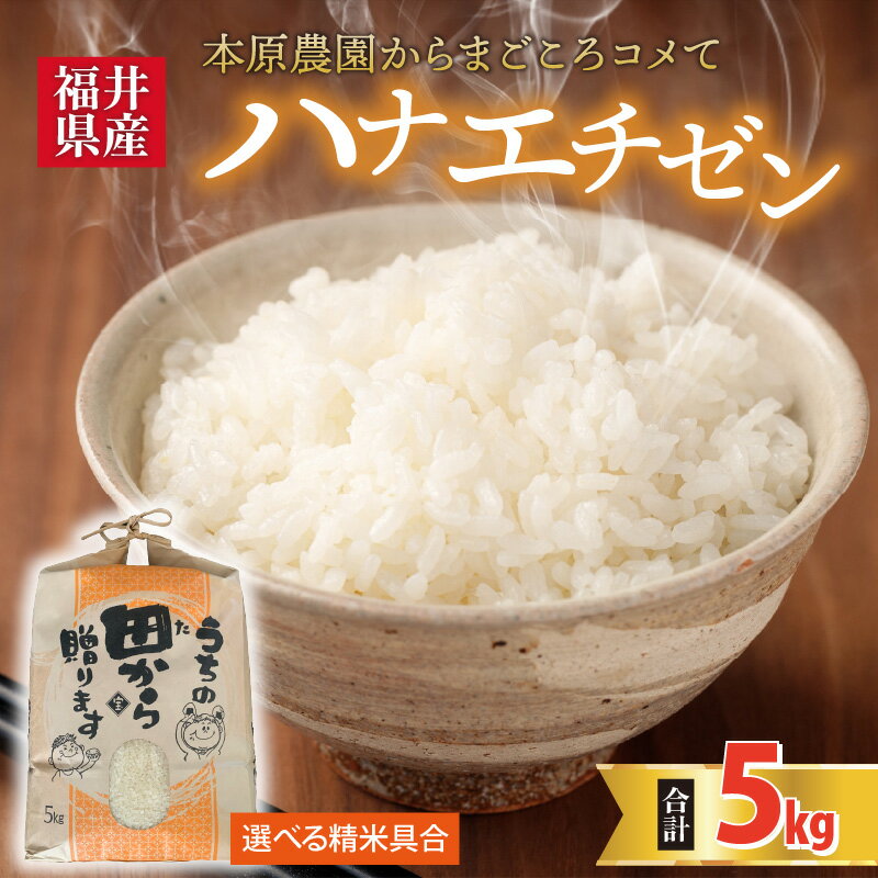 【ふるさと納税】【先行予約】【令和8年産・新米】【白米・玄米選択可】 ハナエチゼン5kg × 1袋 〜本原農園からまごころコメて〜 【2026年9月上旬以降順次発送予定】【お米 白米 玄米 はなえちぜん 5キロ 精米 ブランド米 ごはん ご飯 おいしい ふるさと納税米 産地直送】 - 画像2