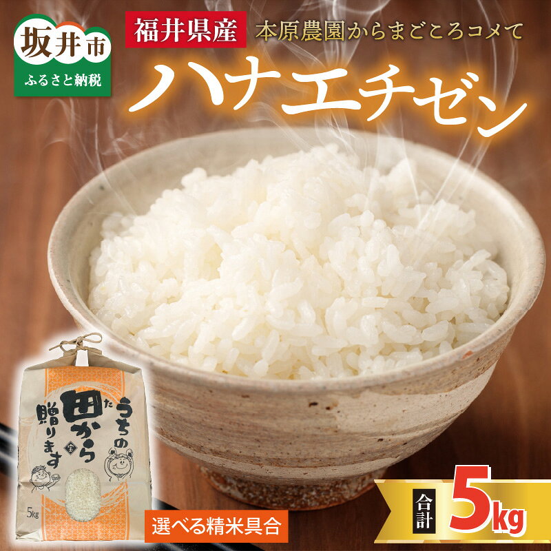 【先行予約】【令和8年産・新米】【白米・玄米選択可】 ハナエチゼン5kg × 1袋 〜本原農園からまごころコメて〜 【2026年9月上旬以降順次発送予定】【お米 白米 玄米 はなえちぜん 5キロ 精米 ブランド米 ごはん ご飯 おいしい ふるさと納税米 産地直送】