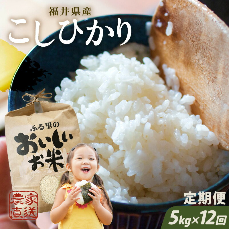 【先行予約】【令和8年産・新米】【農家直送定期便 12ヶ月コース】 本原農園のまごころコメた 福井県産 コシヒカリ 5kg × 12回 計60kg 【2026年10月上旬以降順次発送】 /玄米 白米 こしひかり こめ
