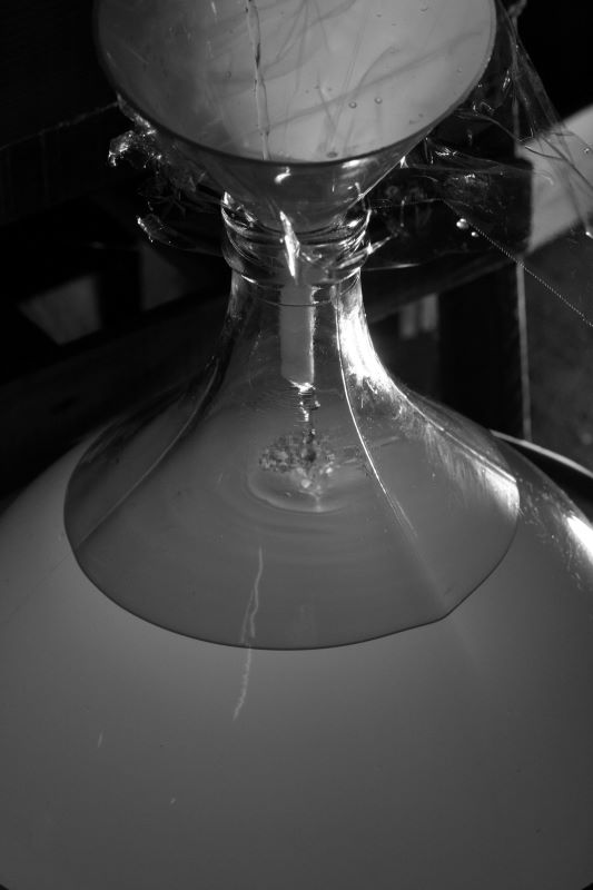 【ふるさと納税】【数量限定】 大吟醸 「吟の雫」 1.8L / 永平寺町 お酒 日本酒 地酒 ギフト 贈答 バレンタイン ホワイトデー サムネイル3