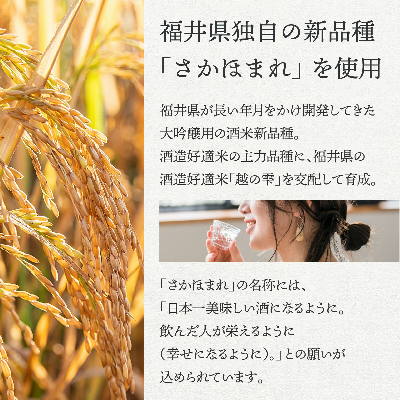 【ふるさと納税】越前岬 「Honami」 さかほまれ無濾過原酒 720ml / 永平寺町 お酒 日本酒 地酒 ギフト 贈答 バレンタイン ホワイトデー サムネイル3