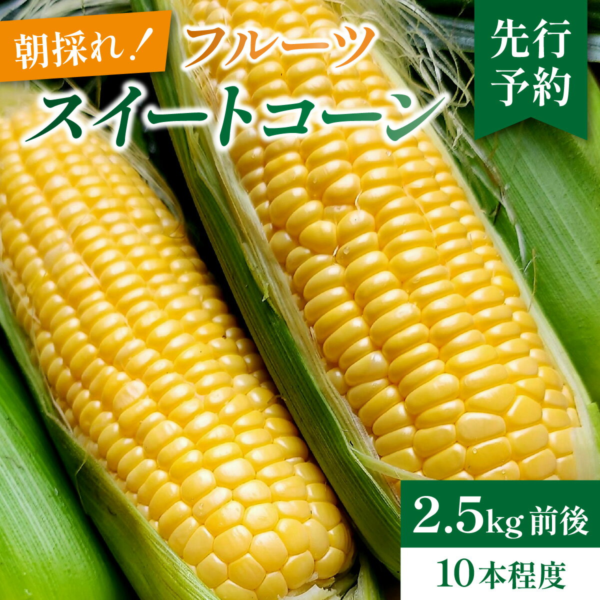 【ふるさと納税】【先行予約】永平寺町産朝採れフルーツスイートコーン厳選　高糖度【2026年7月より順次発送】 [A-050001] / 永平寺町 野菜 旬 お取り寄せ とうもろこし トウモロコシ コーン 味来90 ピクニックコーン - 画像2