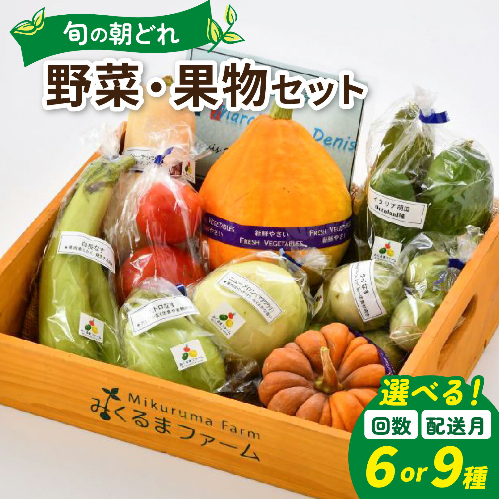 【選べる回数1～3回】【選べる種類 6種類セット・9種類セット】朝どれ 旬な野菜 果物セット【1回単発便】【2～3回定期便】【お届け対象月 5月,8月,11月】/ 農薬・化学肥料不使用