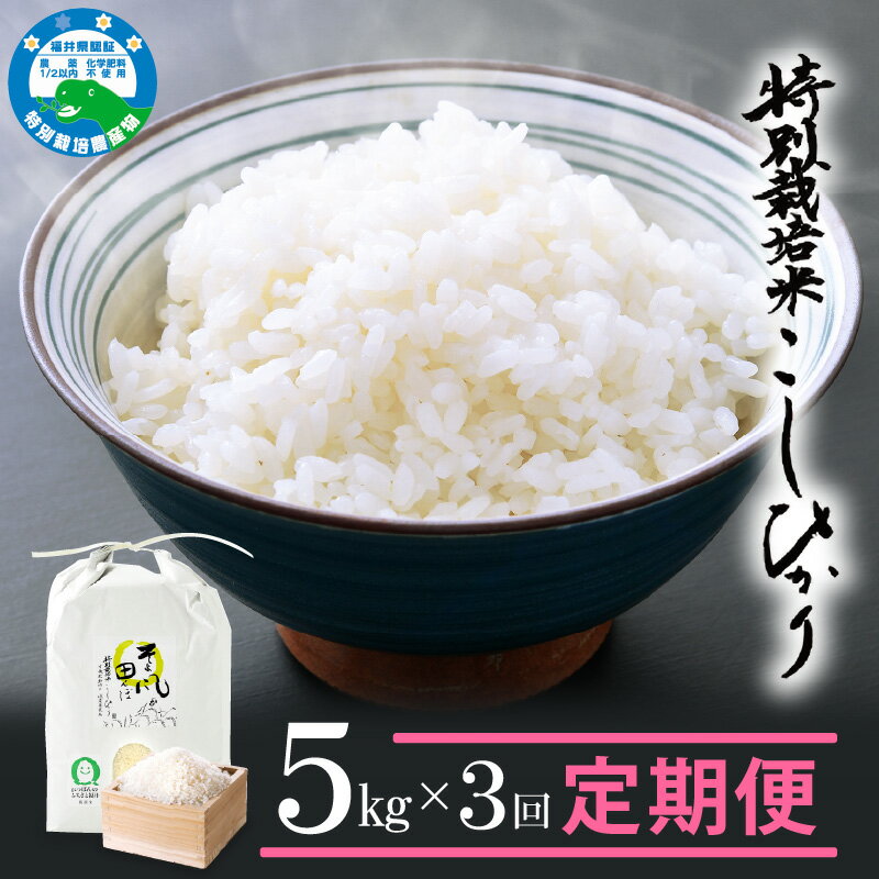 令和7年産 米 定期便 ≪3ヶ月連続お届け≫ 特別栽培米 コシヒカリ 5kg × 3回 福井県産米（有機肥料100% 農薬7割減）「そよ風田んぼ」【人気品種 こしひかり 計15キロ 田んぼの天使 】 [e10-d003]