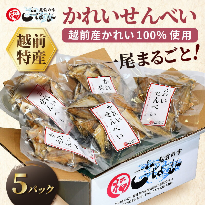 【ふるさと納税】無添加 かれい煎餅 50g × 5パック【越前産カレイ100%使用】【越前海岸・美味直送シリーズ】 - 画像2