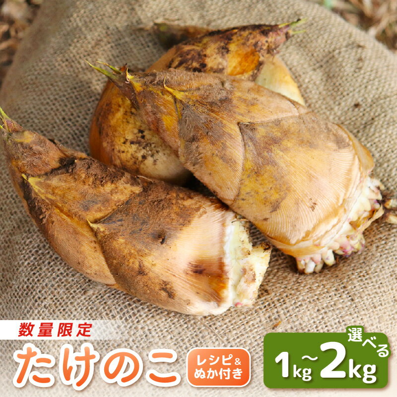 【ふるさと納税】【令和8年産 先行予約】赤土 たけのこ 約1kg〜2kg 越前町 宮崎地区産 採れたてを産地直送でお届け！【選べる内容量】 【 筍 タケノコ 竹の子 生 米 ぬか 付き 】【2026年4月中旬より順次発送予定】 - 画像2