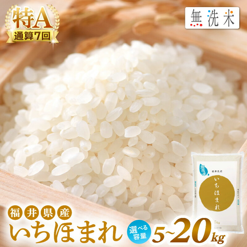 令和7年産 お米 無洗米 いちほまれ 特A 通算7回！ 選べる 内容量 5kg 10kg 15kg 20kg 定期便 1回 3回 6回 12回 福井県産 米 コメ kome 5キロ 10キロ 15キロ 20キロ 3ヶ月 6ヶ月 12ヶ月 [e27-sku002] aj