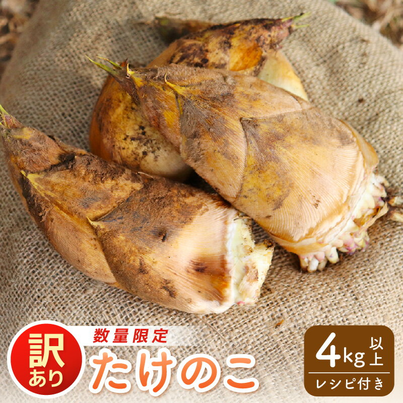 【ふるさと納税】 【令和8年産先行予約】訳あり 赤土 たけのこ 4kg以上 ※大きな筍をカット※ 越前町 宮崎地区産 採れたてを産地直送でお届け！【 筍 タケノコ 竹の子 生 】【先行予約・2026年4月下旬以降発送開始予定】 [e27-a037] - 画像2