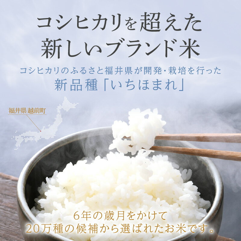 【ふるさと納税】令和7年産 お米 いちほまれ 5kg 10kg 特A 通算7回！ 選べる 内容量 定期便 1回 3回 6回 12回 福井県産 米 コメ kome 5キロ 10キロ 3ヶ月 6ヶ月 12ヶ月 [e27-sku001] aj - 画像3