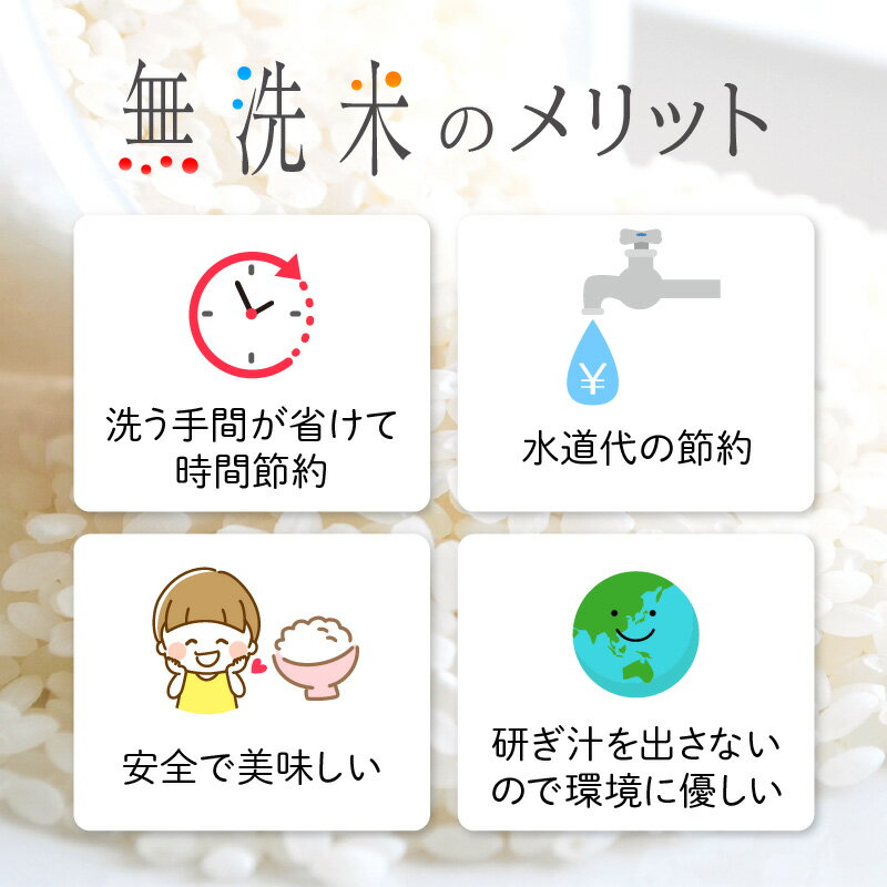 【ふるさと納税】令和7年産 お米 無洗米 いちほまれ 特A 通算7回！ 選べる 内容量 5kg 10kg 15kg 20kg 定期便 1回 3回 6回 12回 福井県産 米 コメ kome 5キロ 10キロ 15キロ 20キロ 3ヶ月 6ヶ月 12ヶ月 [e27-sku002] aj - 画像3