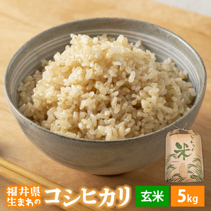 【ふるさと納税】 令和7年産 コシヒカリ 5kg 福井県産【玄米】【お米 こしひかり 5キロ 人気品種】 [e30-a101] - 画像2