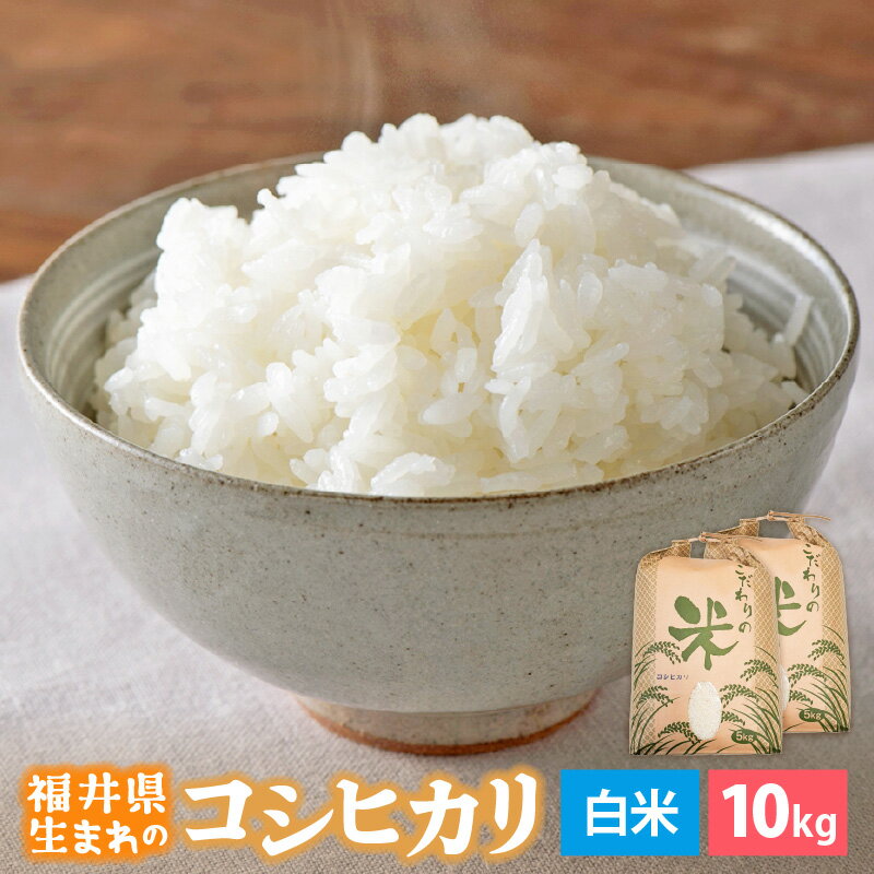 【ふるさと納税】 令和7年産 コシヒカリ 10kg 福井県産【白米】【お米 こめ 米 コメ こしひかり 10キロ 精米 人気品種】 [e30-b017] - 画像2
