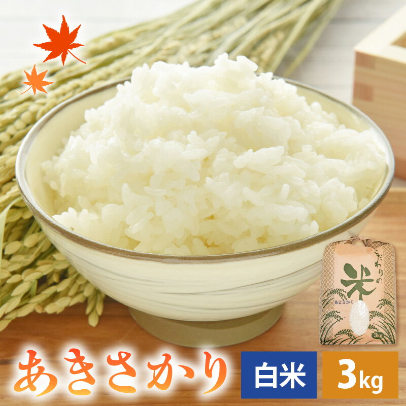 【ふるさと納税】 令和7年産 あきさかり 3kg 福井県産 コシヒカリ系統品種【白米】【お米 アキサカリ 3キロ】 [e30-a104] - 画像2