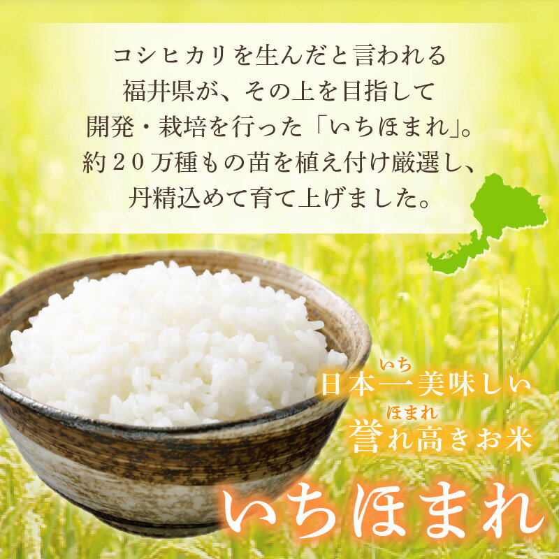 【ふるさと納税】 いちほまれ 5kg 令和7年産「福井県ブランド米」 特A通算7回獲得！お米 福井県産【白米】【お米 5キロ 精米 人気品種】 [e30-b015] - 画像3