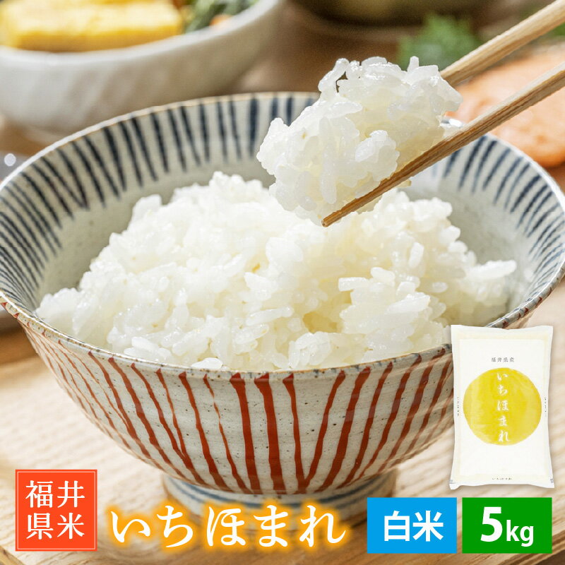 いちほまれ 5kg 令和7年産「福井県ブランド米」 特A通算7回獲得！お米 福井県産【白米】【お米 5キロ 精米 人気品種】 [e30-b015]