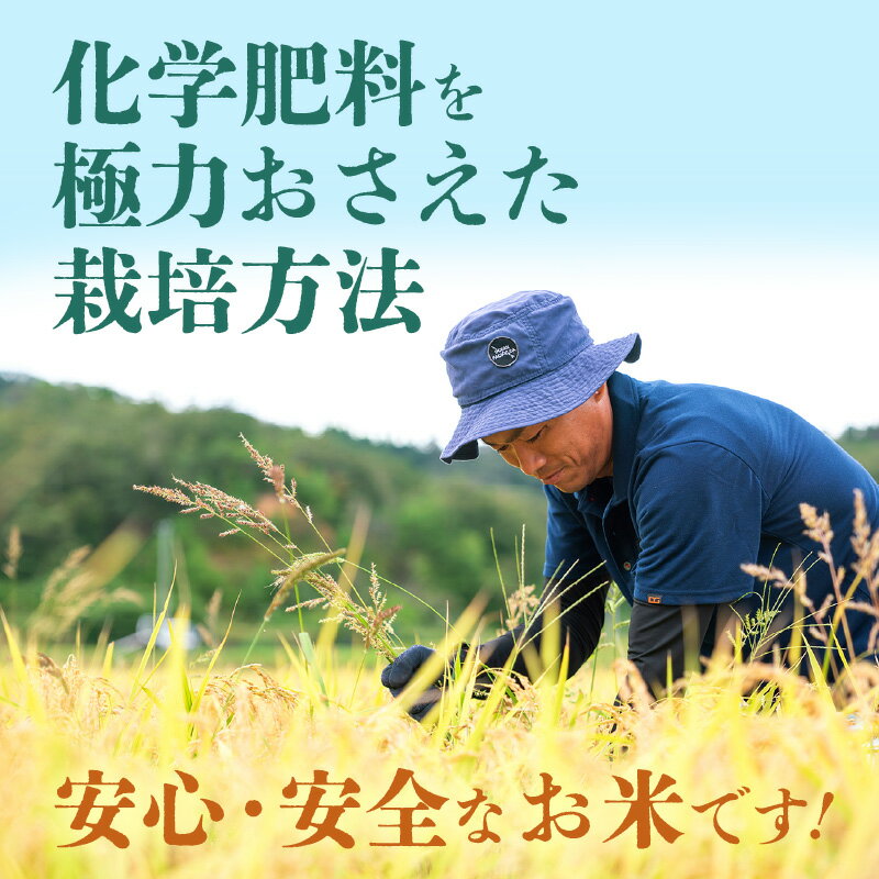 【ふるさと納税】【楽天限定】令和8年【新米】定期便≪6ヶ月連続お届け≫ ハナエチゼン 5kg×6回（計30kg）【華越前 はなえちぜん 人気品種 こしひかり 血統品種】【 玄米 対応可 】【2026年8月下旬以降発送開始！】[e35-h001] - 画像3