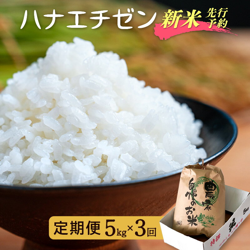 【楽天限定】 令和8年【新米】定期便≪3ヶ月連続お届け≫ ハナエチゼン 5kg×3回（計15kg）【華越前 はなえちぜん 人気品種 こしひかり 血統品種】【 玄米 対応可 】【2026年8月下旬以降発送開始！】[e35-d002]