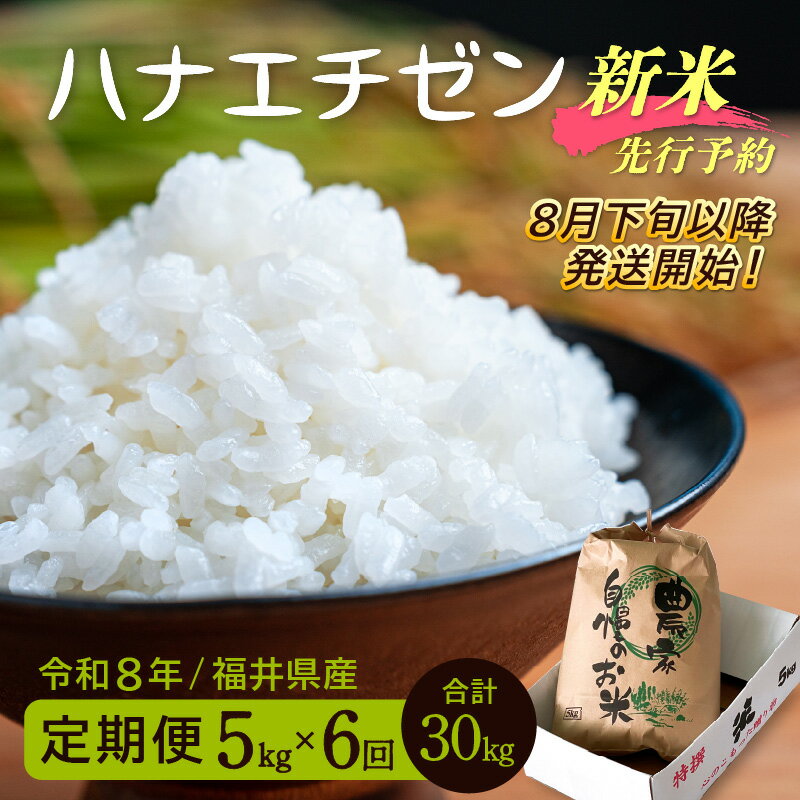 【ふるさと納税】【楽天限定】令和8年【新米】定期便≪6ヶ月連続お届け≫ ハナエチゼン 5kg×6回（計30kg）【華越前 はなえちぜん 人気品種 こしひかり 血統品種】【 玄米 対応可 】【2026年8月下旬以降発送開始！】[e35-h001] - 画像2