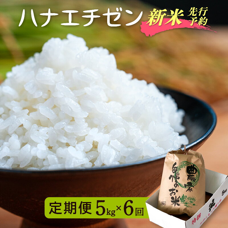 【楽天限定】令和8年【新米】定期便≪6ヶ月連続お届け≫ ハナエチゼン 5kg×6回（計30kg）【華越前 はなえちぜん 人気品種 こしひかり 血統品種】【 玄米 対応可 】【2026年8月下旬以降発送開始！】[e35-h001]