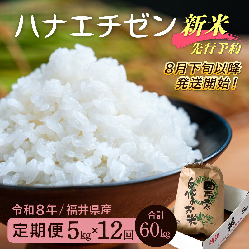 【ふるさと納税】【楽天限定】令和8年【新米】定期便≪12ヶ月連続お届け≫ハナエチゼン 5kg×12回（計60kg）【華越前 はなえちぜん 人気品種 こしひかり 血統品種】【 玄米 対応可 】【2026年8月下旬以降発送開始！】 [e35-m001] - 画像2