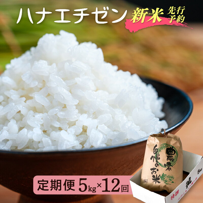 【楽天限定】令和8年【新米】定期便≪12ヶ月連続お届け≫ハナエチゼン 5kg×12回（計60kg）【華越前 はなえちぜん 人気品種 こしひかり 血統品種】【 玄米 対応可 】【2026年8月下旬以降発送開始！】 [e35-m001]