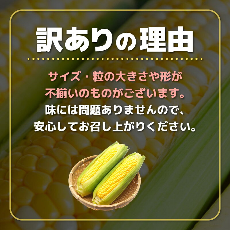 【ふるさと納税】【先行予約】【訳あり】農場直送 鮮度抜群 スイートコーン( とうもろこし ) 約2.5kg / 約5kg / 約10kg（6本〜30本) 【2026年7月上旬より順次発送予定】【お楽しみ バーベキュー 冷凍保存可能 焼肉 おやつ ご飯のおとも 野菜 国産 産地直送】 - 画像3