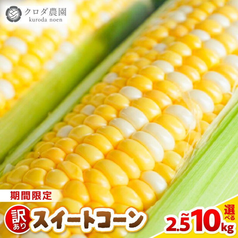 【先行予約】【訳あり】農場直送 鮮度抜群 スイートコーン( とうもろこし ) 約2.5kg / 約5kg / 約10kg（6本〜30本) 【2026年7月上旬より順次発送予定】【お楽しみ バーベキュー 冷凍保存可能 焼肉 おやつ ご飯のおとも 野菜 国産 産地直送】