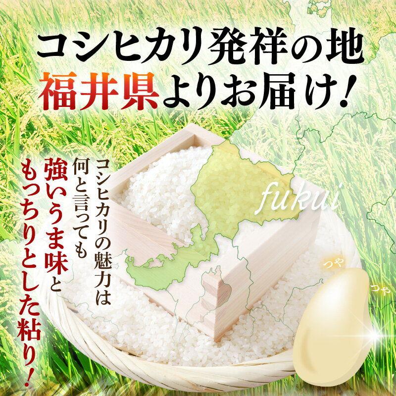 【ふるさと納税】令和7年産 米 精米 コシヒカリ 福井県産《14日以内に出荷予定》【選べる内容量：3kg/5kg/10kg】【白米 3kg 5kg 10kg こしひかり 少量 お米 人気品種 産地直送 新生活 kome 】 - 画像3