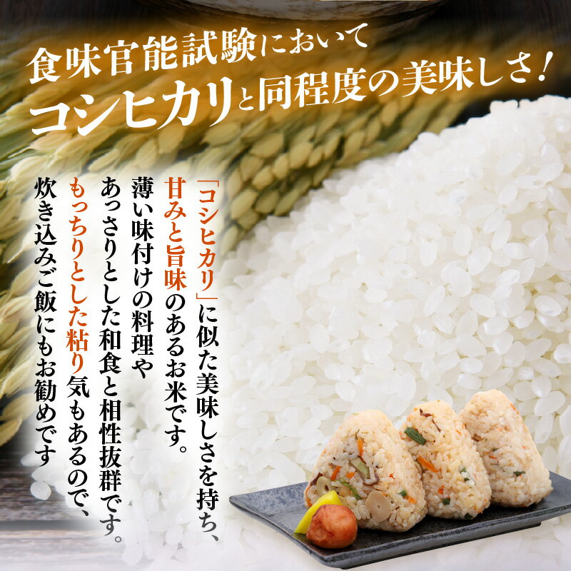 【ふるさと納税】令和7年産 米 5kg 精米 あきさかり 福井県産《14日以内に出荷予定》【白米 5キロ アキサカリ お米 ごはん 人気品種 産地直送 新生活 kome】 - 画像3