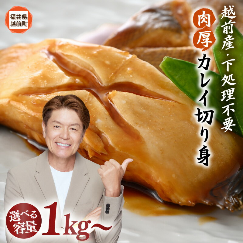 煮付 煮魚 越前産 カレイ 切り身 【 容量 1kg 〜】 バラ凍結 使い勝手抜群！福井県網元漁師が厳選！肉厚な越前産 カレイ（無塩）【定期便 煮つけ用 かれい 鰈 焼き魚 煮付け バラ凍結便利 お取り寄せ グルメ 送料無料 aj】