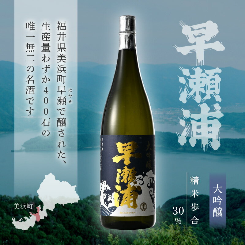 【ふるさと納税】早瀬浦 限定品【1本セットのみ】冷温熟成早瀬浦大吟醸1.8L【早瀬浦】大吟醸 1800ml（熟成酒）【入手困難 日本酒 地酒 福井 美浜 早瀬 フルーティ 男酒 硬水 ミネラル 希少 ご褒美 父の日 ギフト プレゼント 家飲み 就職祝い 転職祝い ハレの日 敬老の日】 サムネイル3