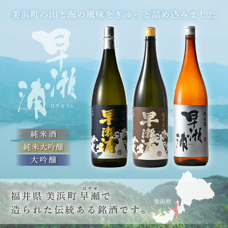 【ふるさと納税】【早瀬浦】純米大吟醸 1800ml × 1本 ＆ 大吟醸 1800ml × 2本 ＆ 純米酒 1800ml × 1本 セット【入手困難 飲み比べ 日本酒 地酒 福井 美浜 早瀬 フルーティ 男酒 硬水 ミネラル 希少 父の日 ギフト プレゼント ご褒美 転職祝い 敬老の日】 [m16-l001] サムネイル2